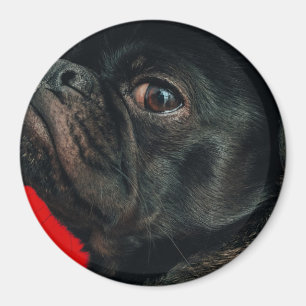 rojo dog magnet