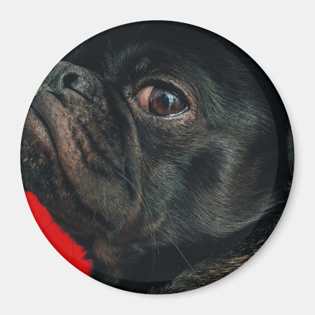 rojo dog magnet (Front)