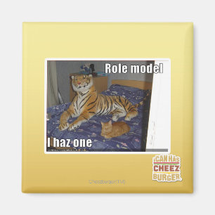 Role Model, I haz one Magnet