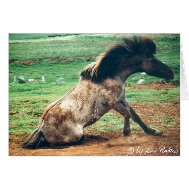 roll around 2 (Front Horizontal)