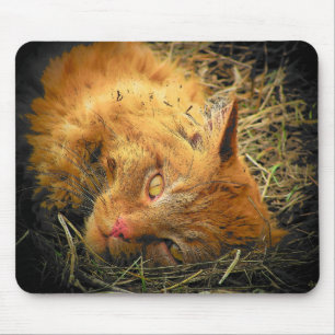 Roll in the Hay Mouse Pad