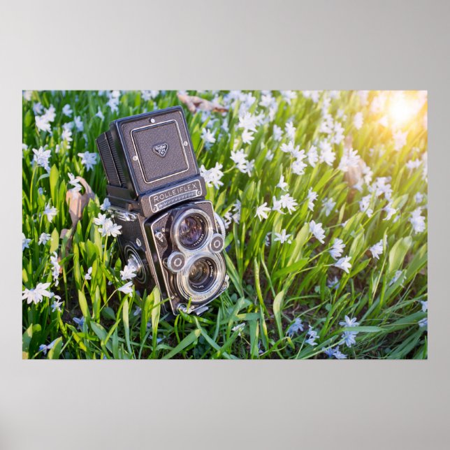Rolleiflex camera poster (Front)