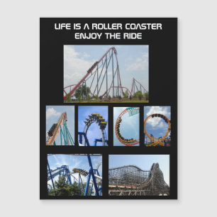 Roller Coasters Design