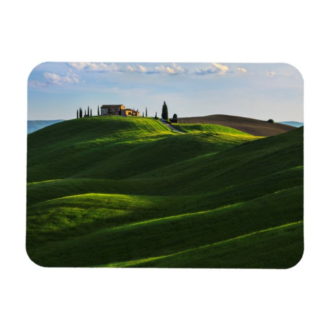 Rolling Hill Near Asciano, Tuscany Magnet (Horizontal)