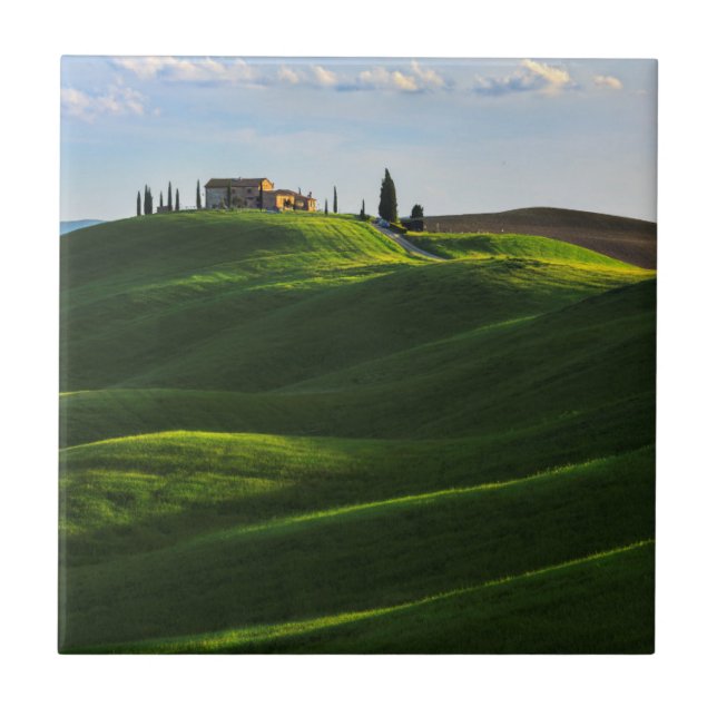 Rolling Hill Near Asciano, Tuscany Tile (Front)