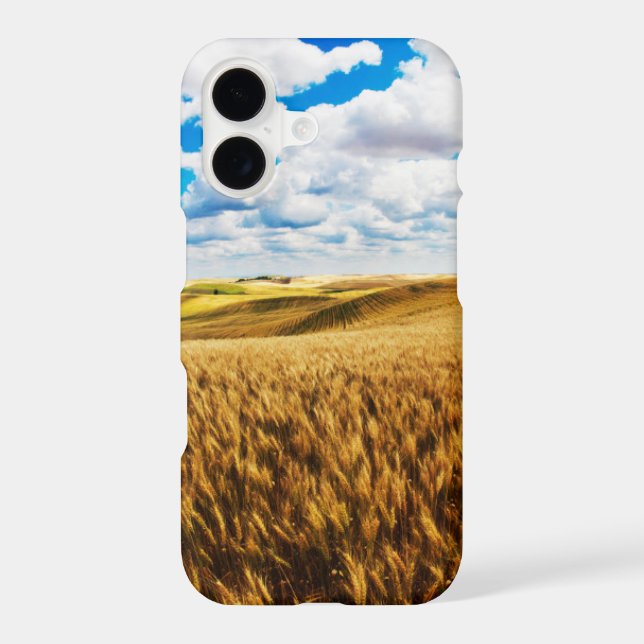 Rolling hills of ripe wheat (Back)