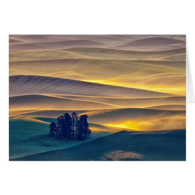 Rolling Hills of Wheat at Sunrise | WA (Front Horizontal)