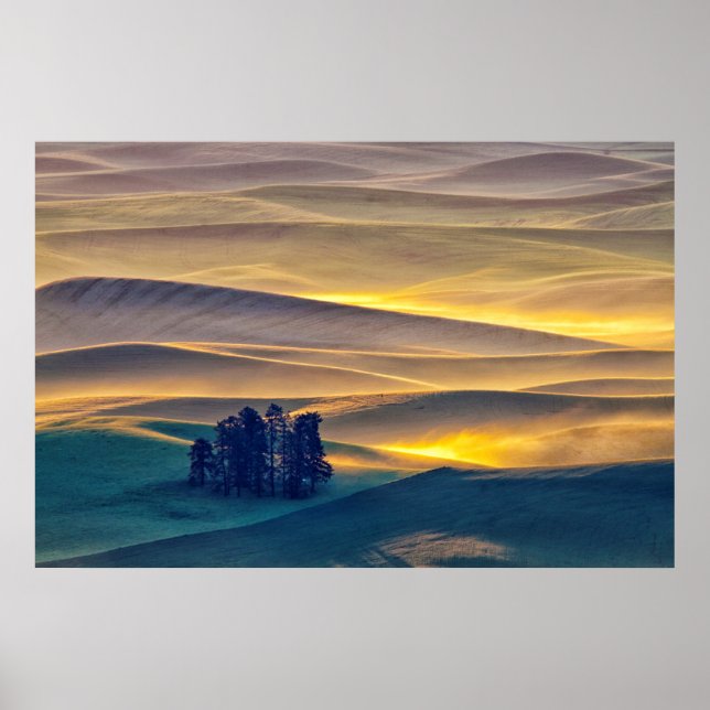 Rolling Hills of Wheat at Sunrise | WA Poster (Front)