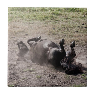 Rolling horse tile