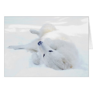 Rolling in the snow