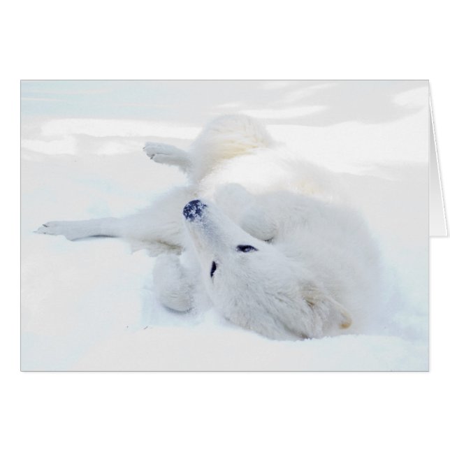 Rolling in the snow (Front Horizontal)