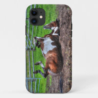 Rolling Paint Horse Equine Photo for Horse-lovers