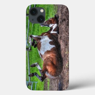 Rolling Paint Horse Equine Photo for Horse-lovers iPhone 13 Case