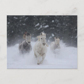 Rolling Thunder Postcard