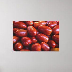 Roma Harvest Canvas Print
