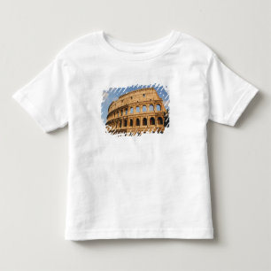Roman Art. The Colosseum or Flavian 3 Toddler T-Shirt