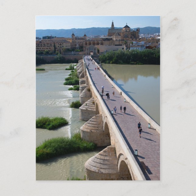 Roman Bridge Cordoba Spain Postcard (Front)