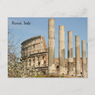 Roman Coliseum Postcard