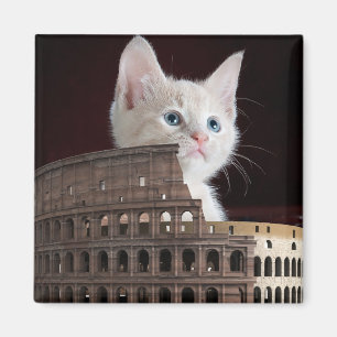 Roman felines magnet