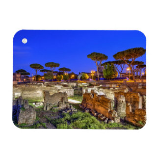 Roman Forum in Rome by night, Italy - HDR Magnet