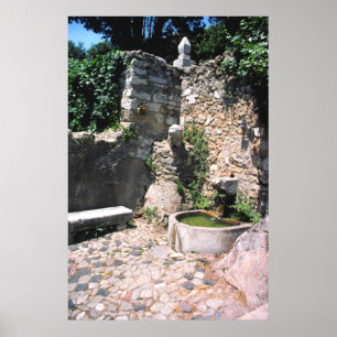 Roman fountain, Castello St. George, Alfama, Portu Poster