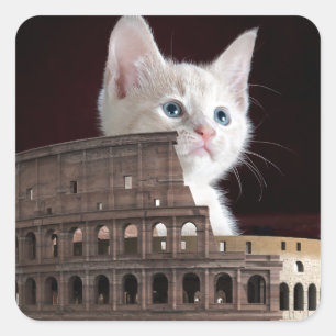 roman kitty square sticker