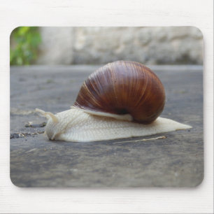 Roman Snail Mouse Mat