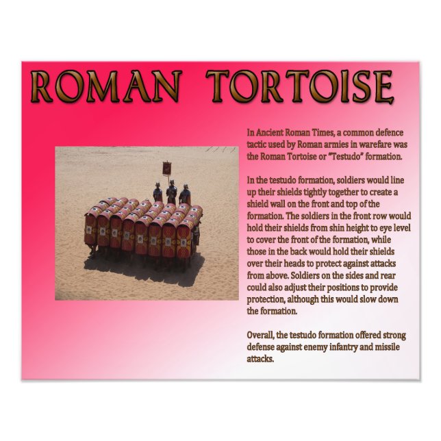 Roman Tortoise Photo Print (Front)