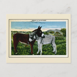 Romance in the Southwest, love Postcard