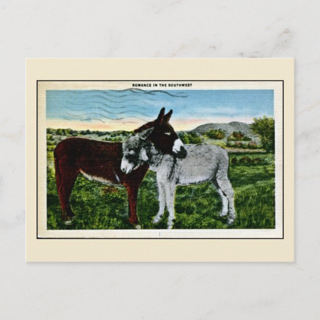 Romance in the Southwest, love Postcard (Front)