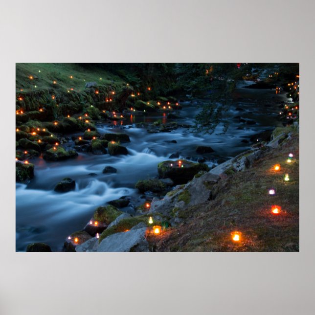 Romance - Magical Forest Poster (Front)