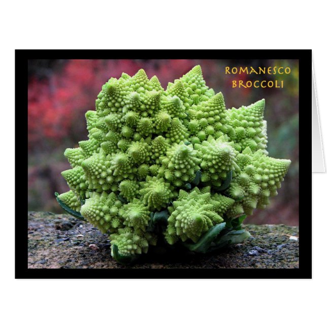 Romanesco Broccoli Vegetable (Front Horizontal)