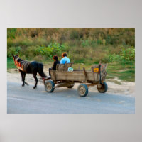 Romania, horse and cart