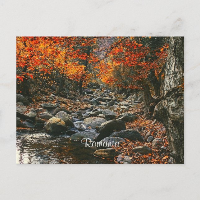 Romania landscape photograph postcard (Front)