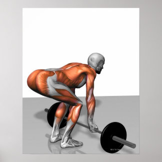 Romanian Deadlift 2 Poster