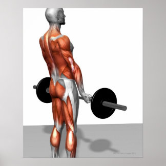 Romanian Deadlift Poster
