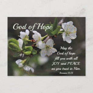 Romans 15:13 God of Hope White Flowers Postcard