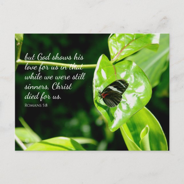 Romans 5:8 Butterfly Leaf Postcard (Front)