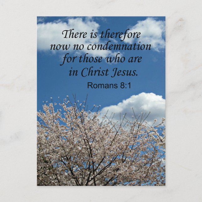 Romans 8:1 There is therefore now no condemnation Postcard (Front)