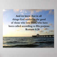 ROMANS 8:28 BIBLE