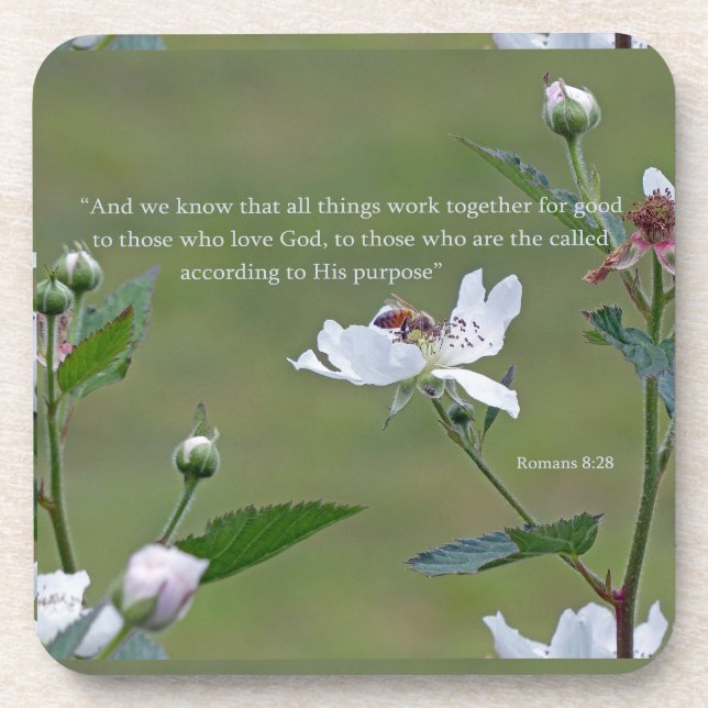 Romans 8:28 coaster (Front)