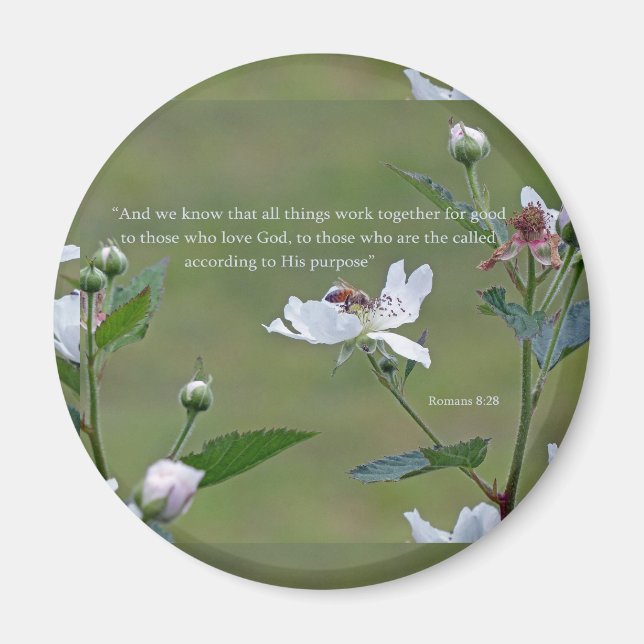 Romans 8:28 magnet (Front)