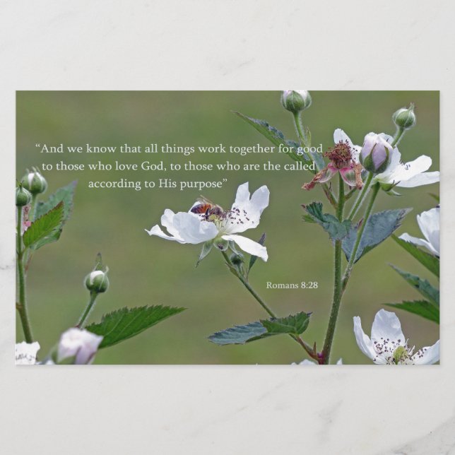 Romans 8:28 stationery (Front)