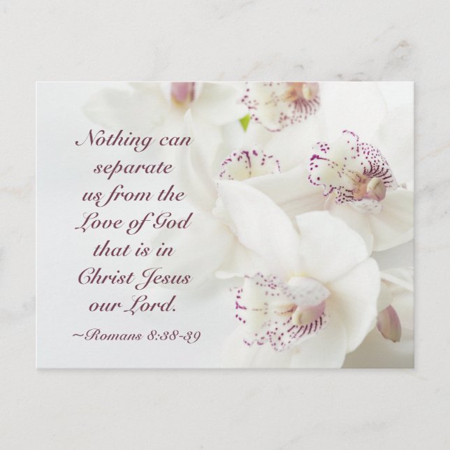 Romans 8:38-39 Love of God Valentine's Day Postcard (Front)
