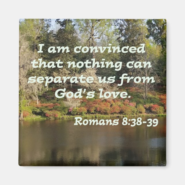 Romans 8:38-39 magnet (Front)