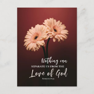 Romans 8 39 Love of God Christian Bible Verse Postcard