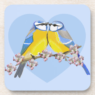 Romantic bird pair, Cyanistes Caeruleus Coaster