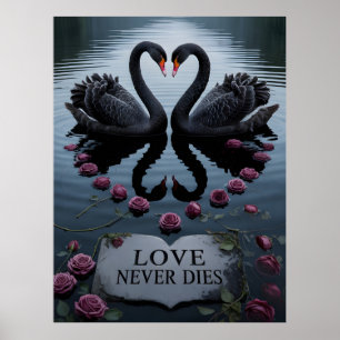 Romantic Black Swans Heart Reflection with Text Poster