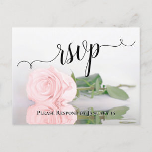 Romantic Blush Pink Reflecting Rose Wedding RSVP Postcard