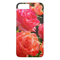 Romantic Coral Roses